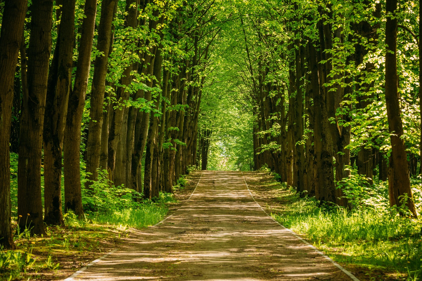 Spain Specialist Program: Culturele routes en andere producten routes_nlnl